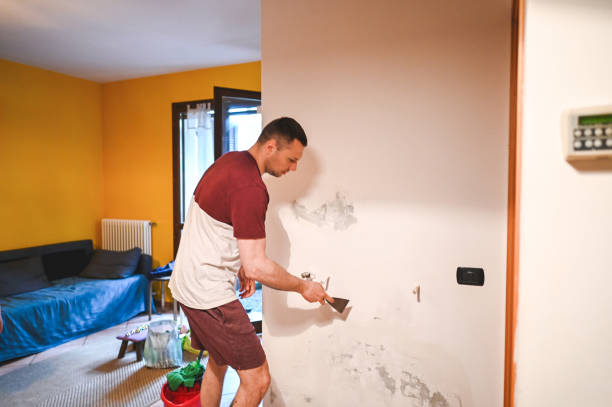 Best Health and Safety Mold Remediation in Tallapoosa, GA
